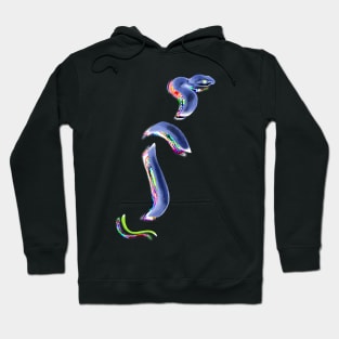 snek 15 Hoodie